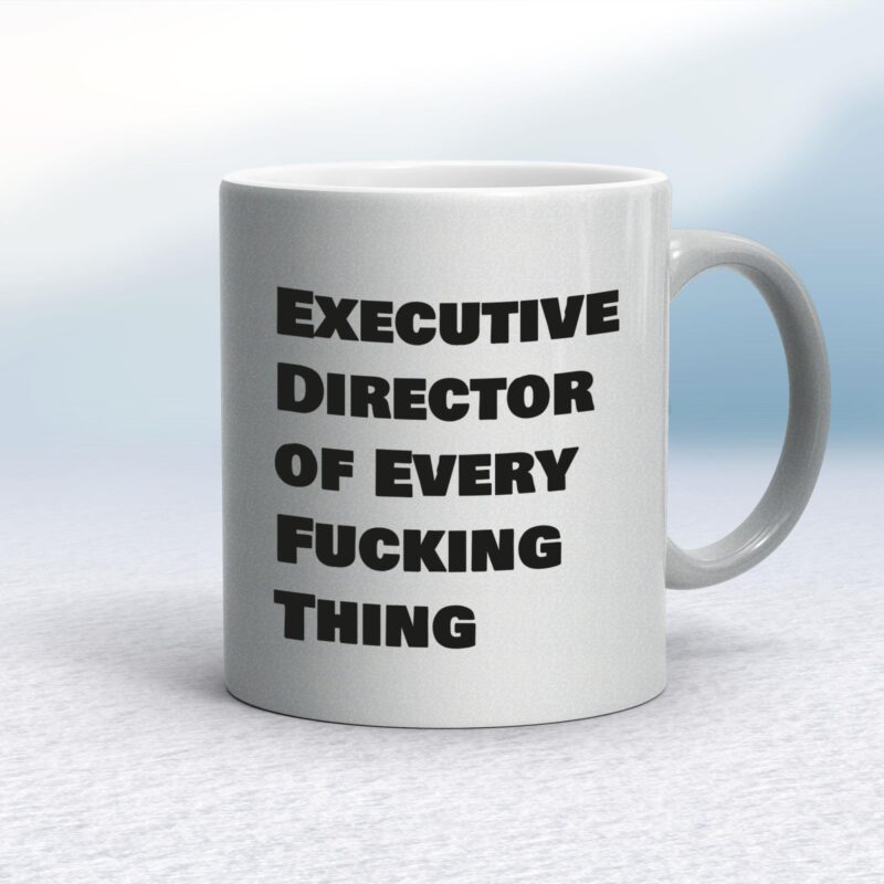Executive Director of Every Fucking Thing - Rude Mugs - Slightly Disturbed - Image 9 of 14