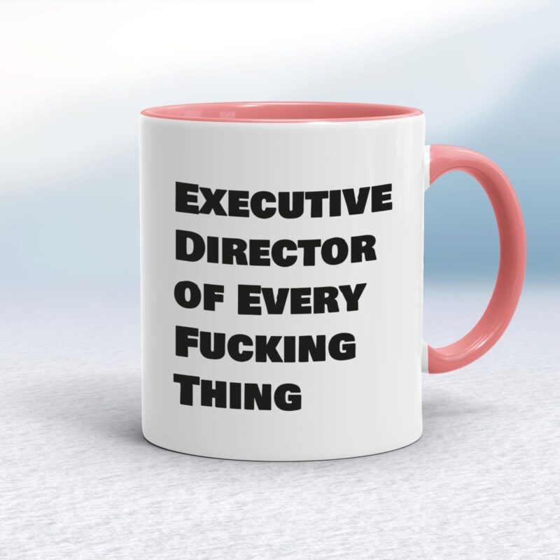 Executive Director of Every Fucking Thing - Rude Mugs - Slightly Disturbed - Image 5 of 14