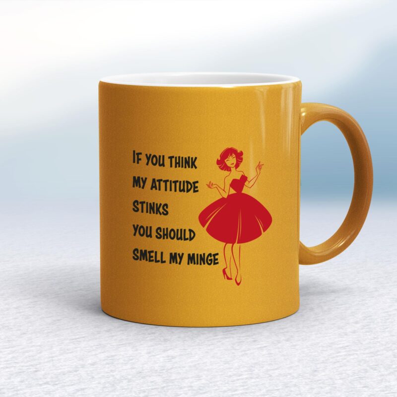 Attitude Stinks - Rude Mugs - Slightly Disturbed - Image 10 of 14