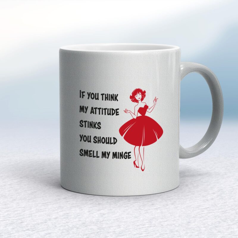 Attitude Stinks - Rude Mugs - Slightly Disturbed - Image 9 of 14