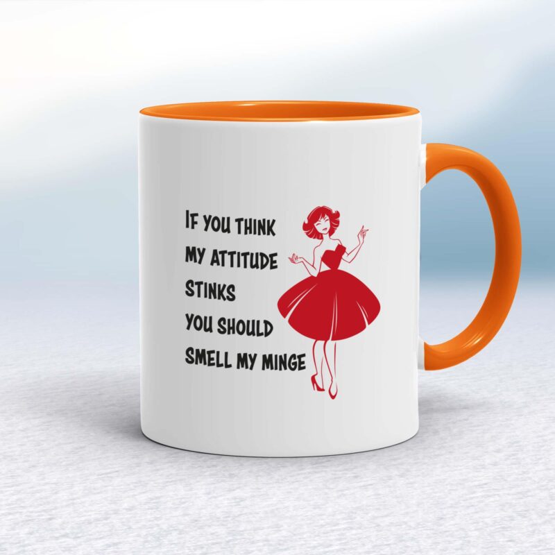 Attitude Stinks - Rude Mugs - Slightly Disturbed
