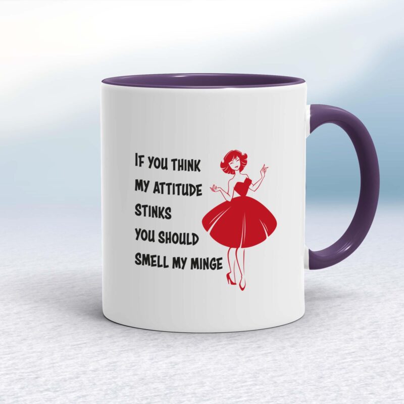 Attitude Stinks - Rude Mugs - Slightly Disturbed