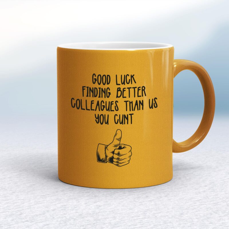 Good Luck Finding Better Colleagues - Rude Mugs - Slightly Disturbed - Image 10 of 18