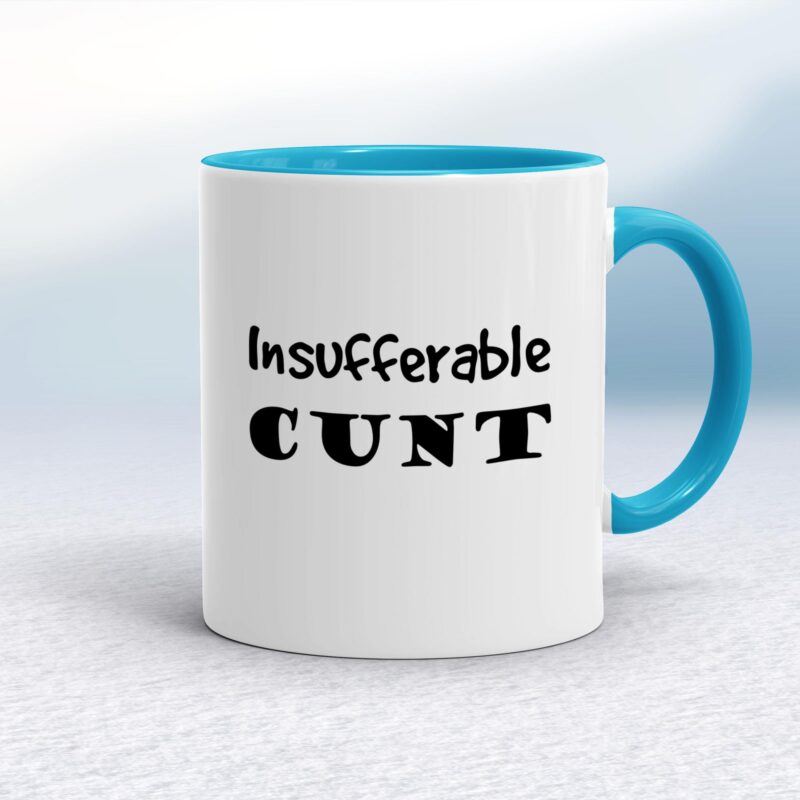 Insufferable Cunt - Rude Mugs - Slightly Disturbed - Image 3 of 16