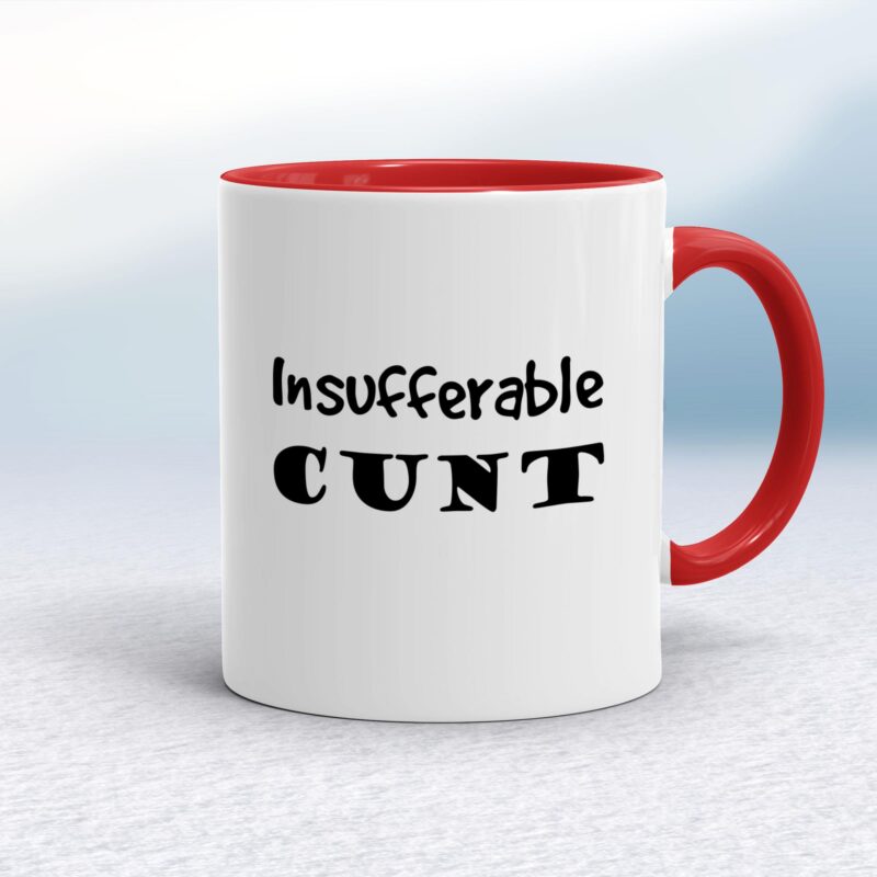 Insufferable Cunt - Rude Mugs - Slightly Disturbed - Image 6 of 16